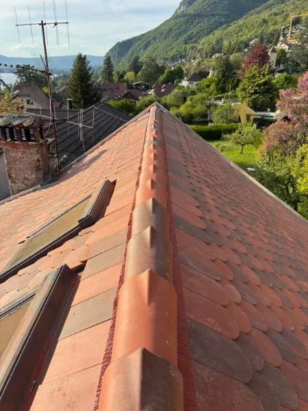 Solin et abergement de cheminée en zinc à Lyon